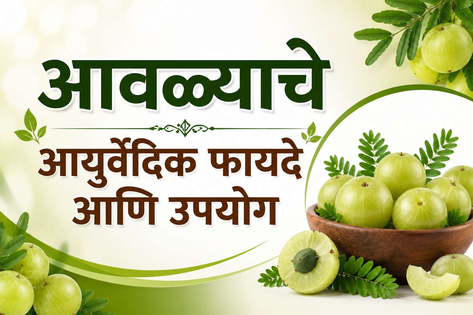 आवळ्याचे आयुर्वेदिक फायदे आणि उपयोग